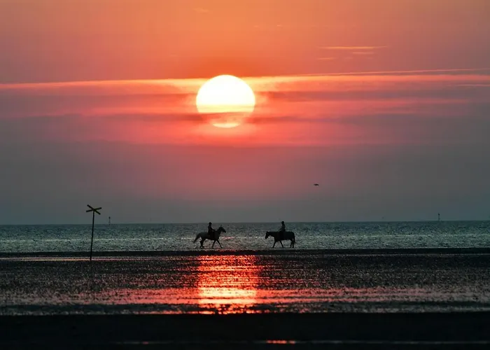 Apartamento Haus Nordseebrandung Nb53 *